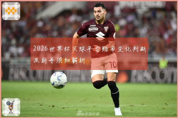 2026世界杯买球平台赔率变化判断及新手须知解析