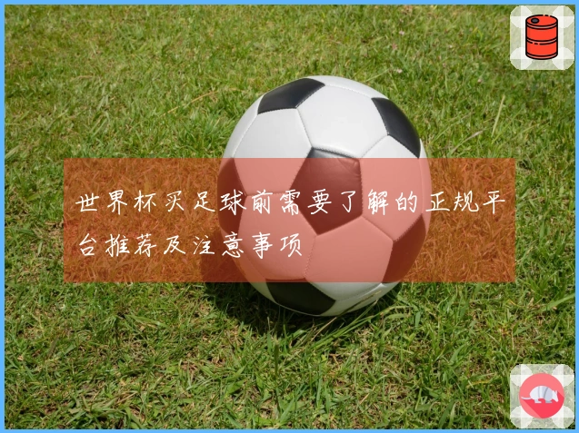 世界杯买足球前需要了解的正规平台推荐及注意事项
