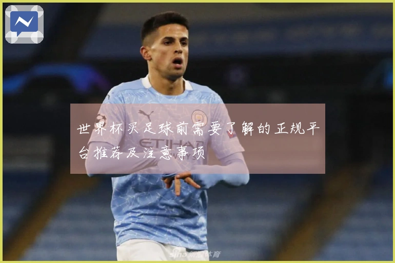 世界杯买足球前需要了解的正规平台推荐及注意事项