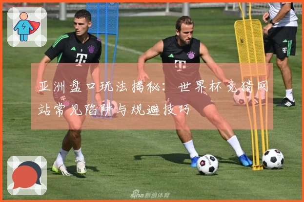 亚洲盘口玩法揭秘：世界杯竞猜网站常见陷阱与规避技巧